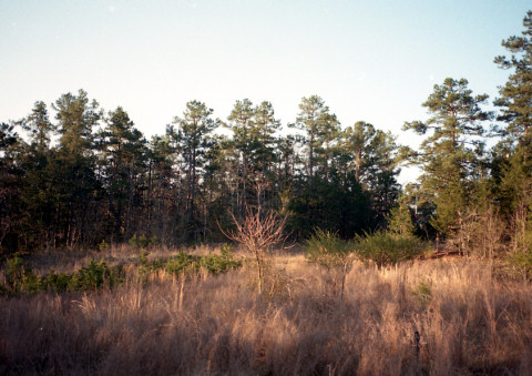 b0182632_021651.jpg
