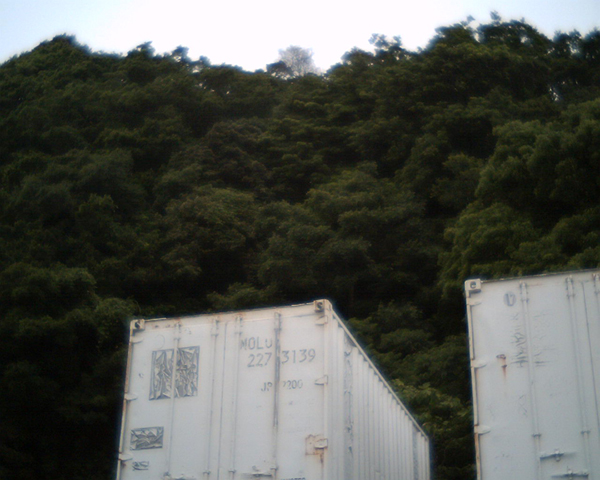 f0207541_17563129.jpg