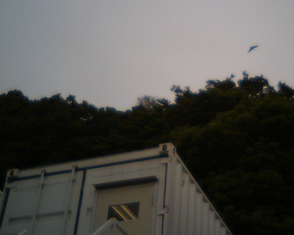 f0207541_17564280.jpg