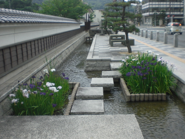 b0152548_15465056.jpg