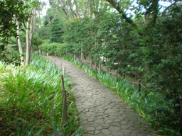c0047449_20343023.jpg