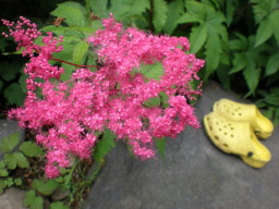 c0047449_20374253.jpg