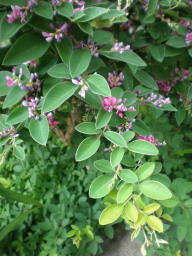 c0047449_2037822.jpg