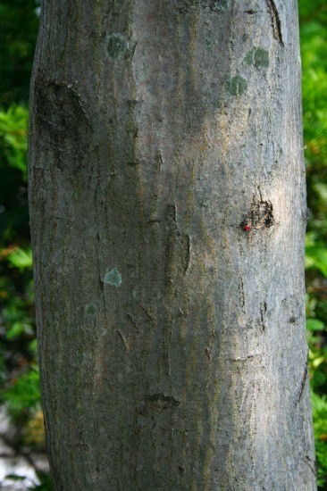 e0126350_2327359.jpg