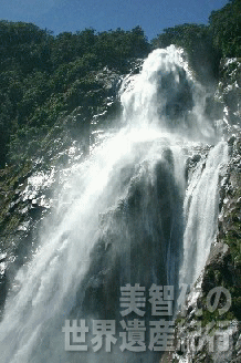 f0019856_1156238.gif