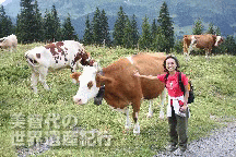 f0019856_13202798.gif