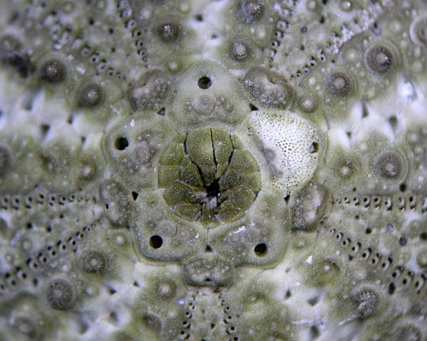 e0035757_15533774.jpg