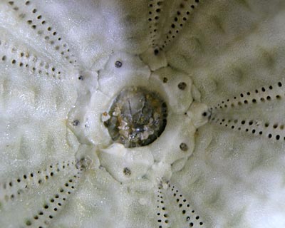 e0035757_15542417.jpg