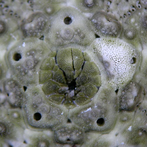 e0035757_1554290.jpg