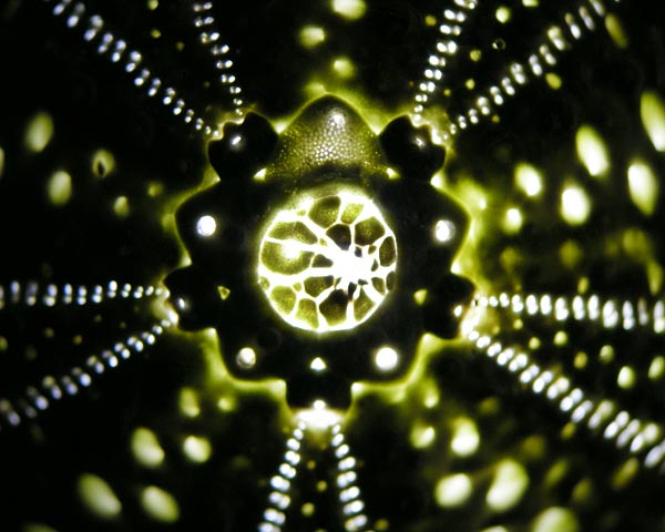 e0035757_15562718.jpg