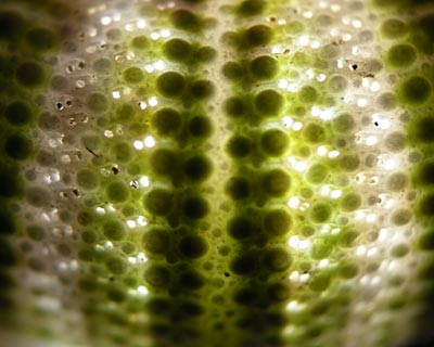 e0035757_15571031.jpg