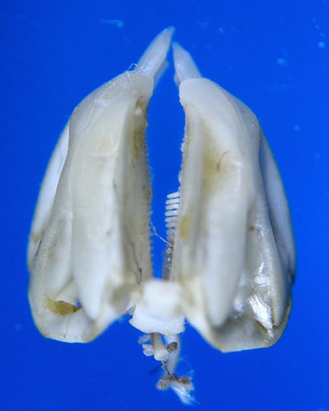 e0035757_1603113.jpg