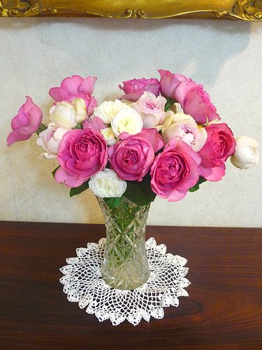 薔薇の名前は。。。　　「無垢なる風景－別府から代官山へ」　　　　ブログの世界。。。* *。:☆.。† _a0053662_1011154.jpg