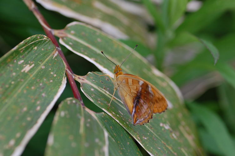 b0167762_12253180.jpg