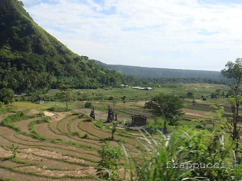 d0056263_1504931.jpg