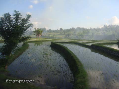 d0056263_151092.jpg
