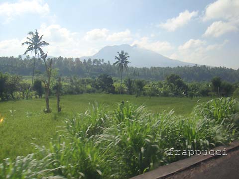 d0056263_1512072.jpg
