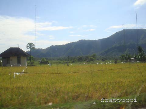 d0056263_1523296.jpg