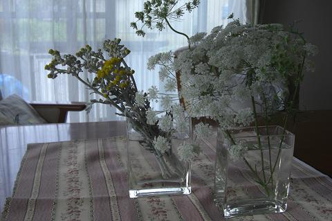 f0207664_87596.jpg