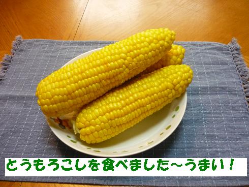 e0139167_23161934.jpg