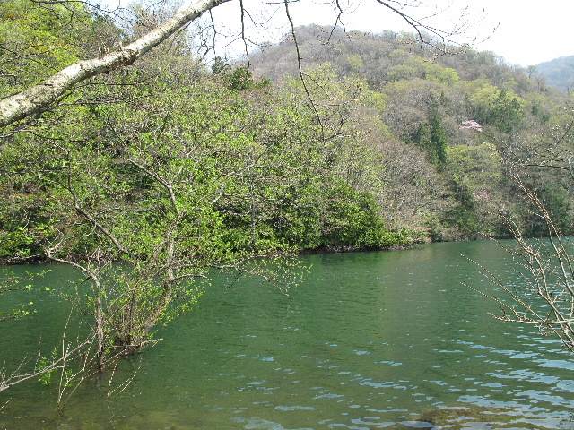 b0184468_0223784.jpg