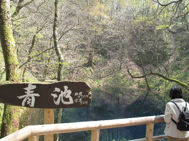 b0184468_034119.jpg