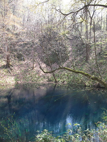 b0184468_036131.jpg