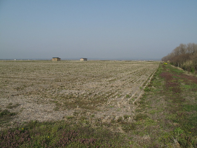 b0184468_0435165.jpg