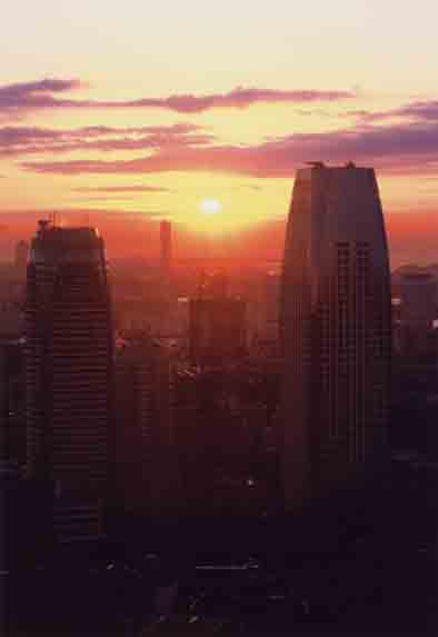 f0090868_9471529.jpg