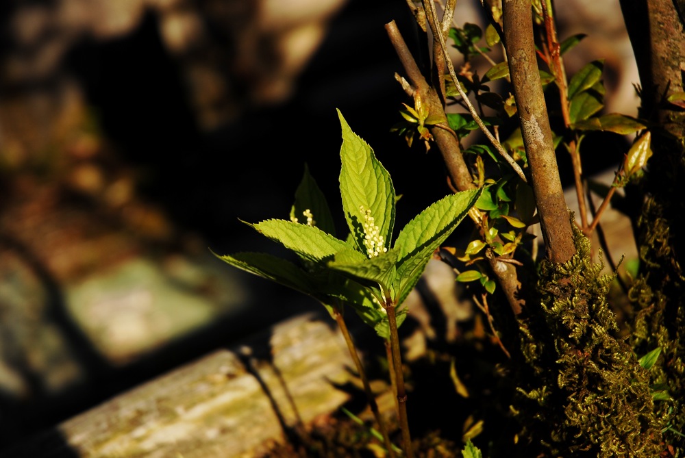 c0132571_25840.jpg