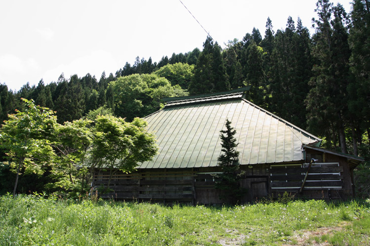 c0054876_17363026.jpg