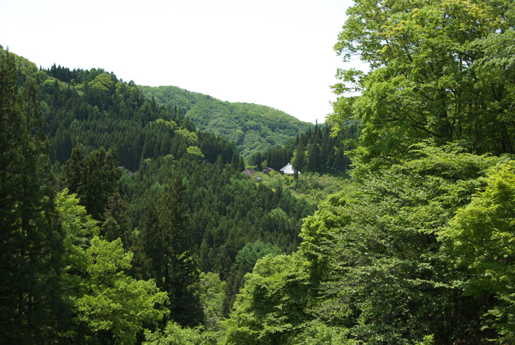 c0054876_17442099.jpg