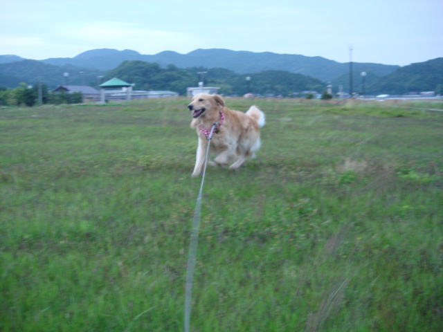 a0040978_16143715.jpg