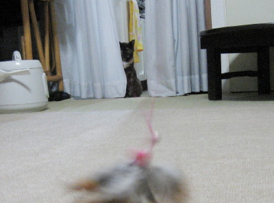 f0091785_20234641.jpg