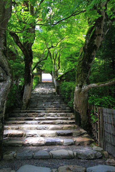 緑を求めて大原へ -後編- _e0051888_6315189.jpg