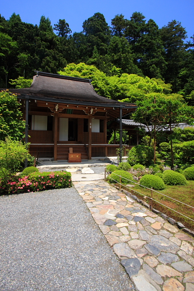 緑を求めて大原へ -後編- _e0051888_6321821.jpg