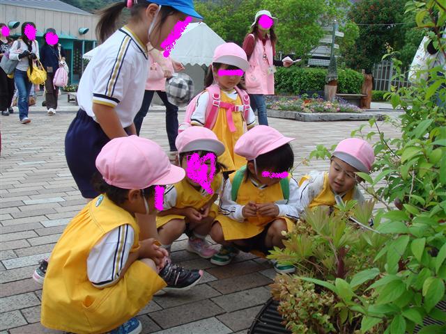 d0091193_16424738.jpg