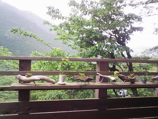 b0007895_11533970.jpg