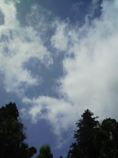 b0007895_11535324.jpg