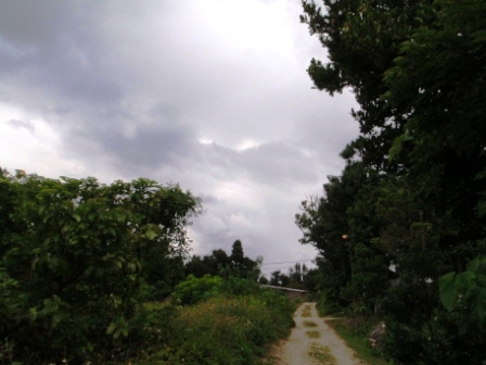 今日の鳩間島　6/3（水）　曇り一時小雨のち晴れ_b0165698_18125773.jpg