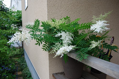 c0124100_2312044.jpg