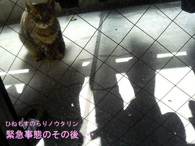 b0182613_718487.gif