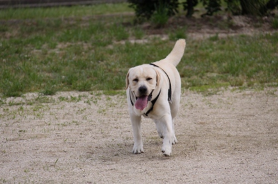 f0191413_2015271.jpg