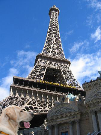 f0191413_2175169.jpg