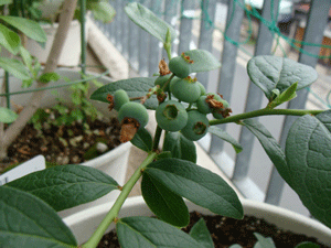b0176027_22485525.gif