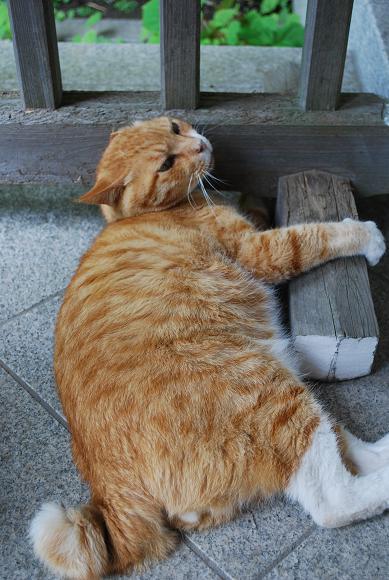 浄妙寺 （5月26日）_d0085228_190235.jpg