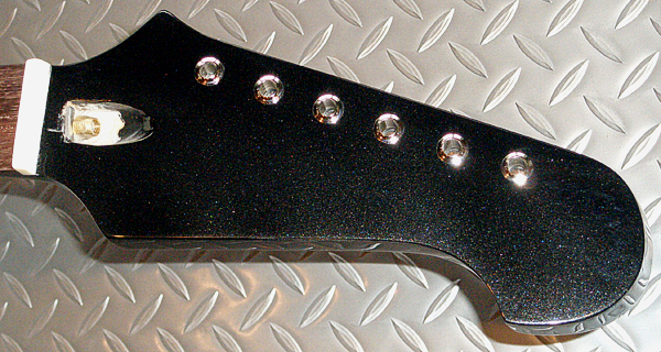 akkinオーダーの「Firebird Type」の塗装が完了!_e0053731_1922823.jpg