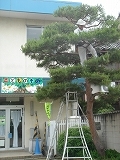 f0167635_0455870.jpg