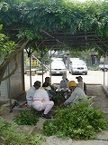 f0167635_0463746.jpg