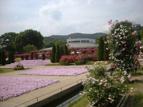 c0127460_17383458.jpg